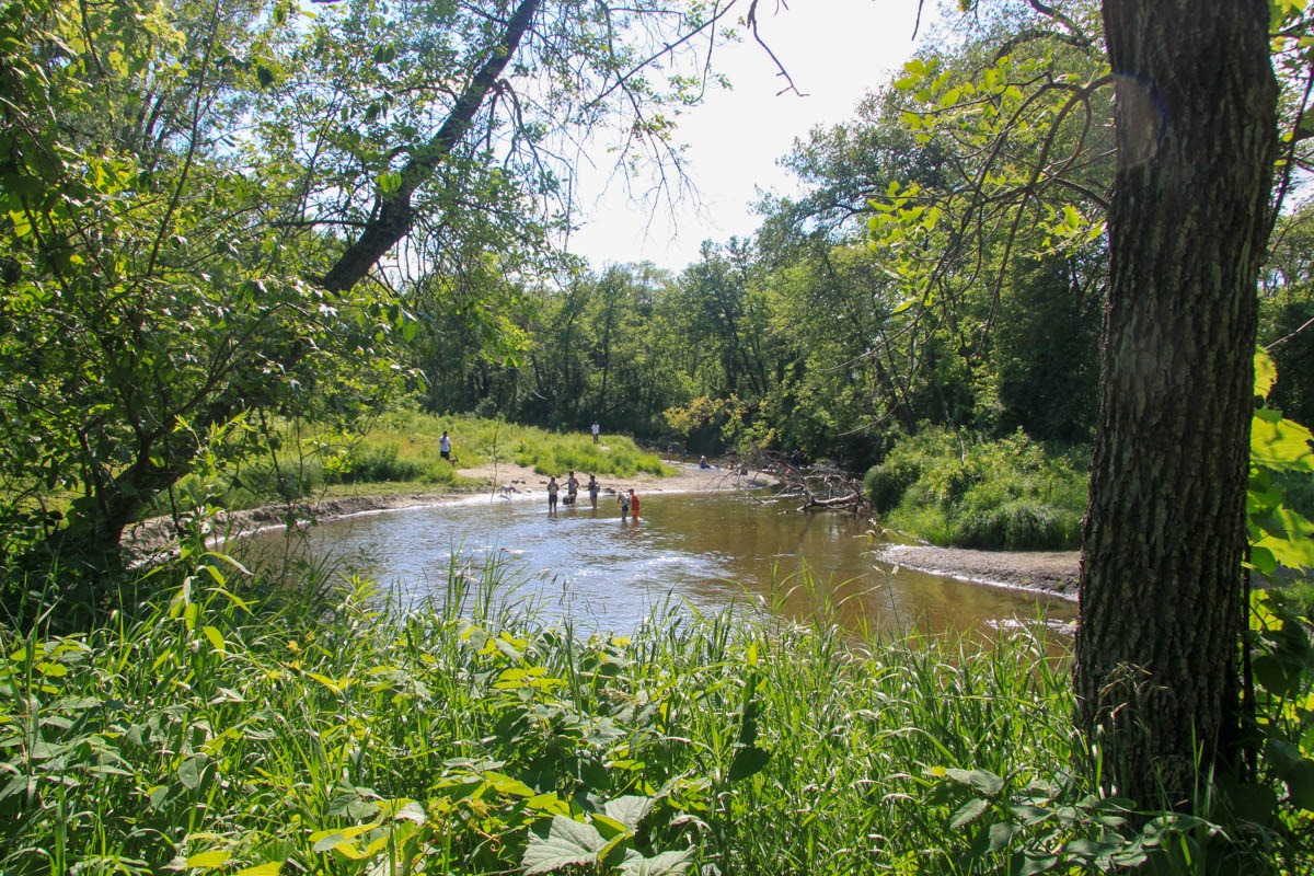 Buffalo River State Park RV Campground in Glyndon, MN